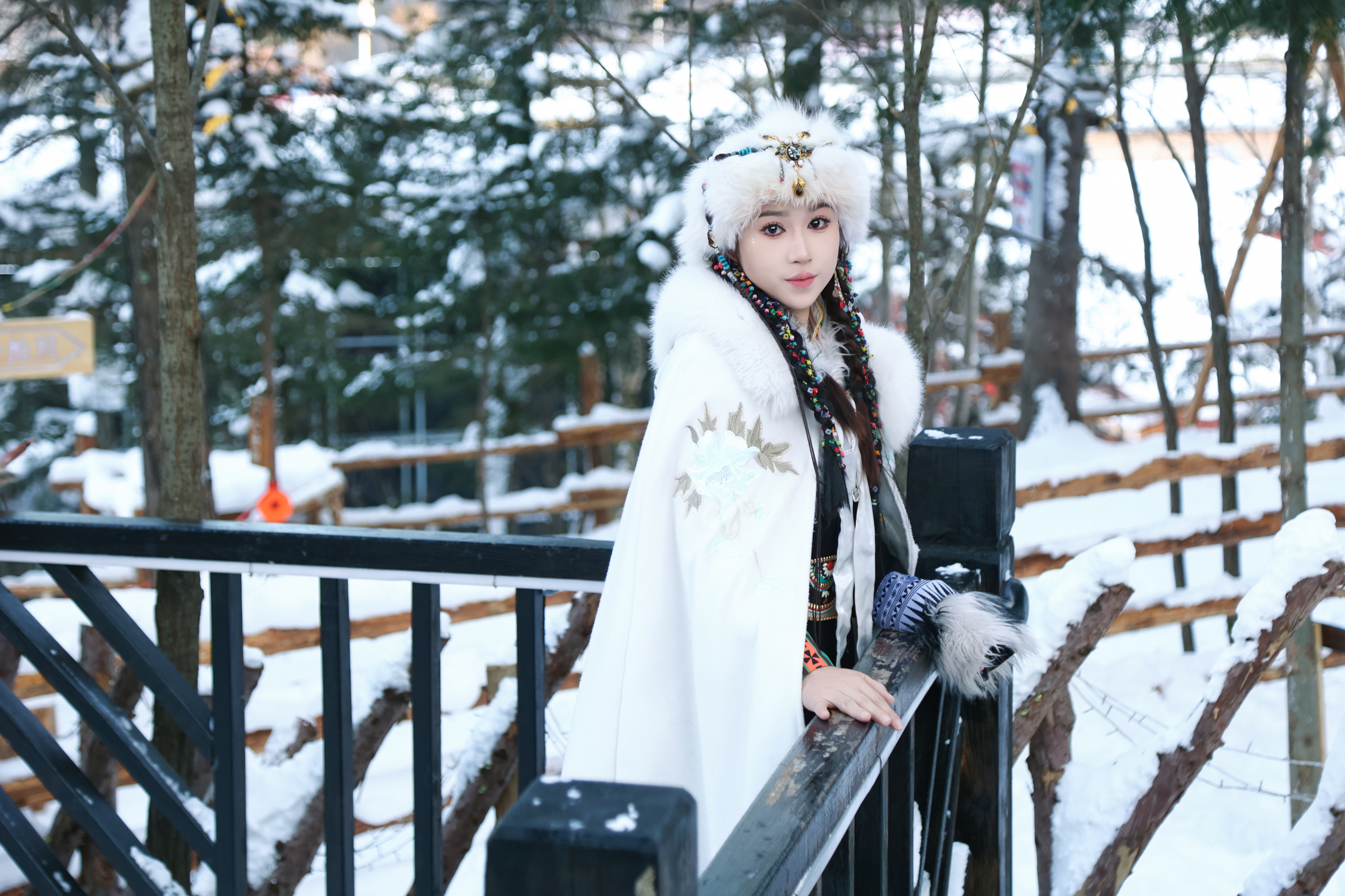 Harbin Winter IL Incentive Trip photo 33